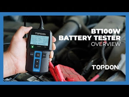 BT100W