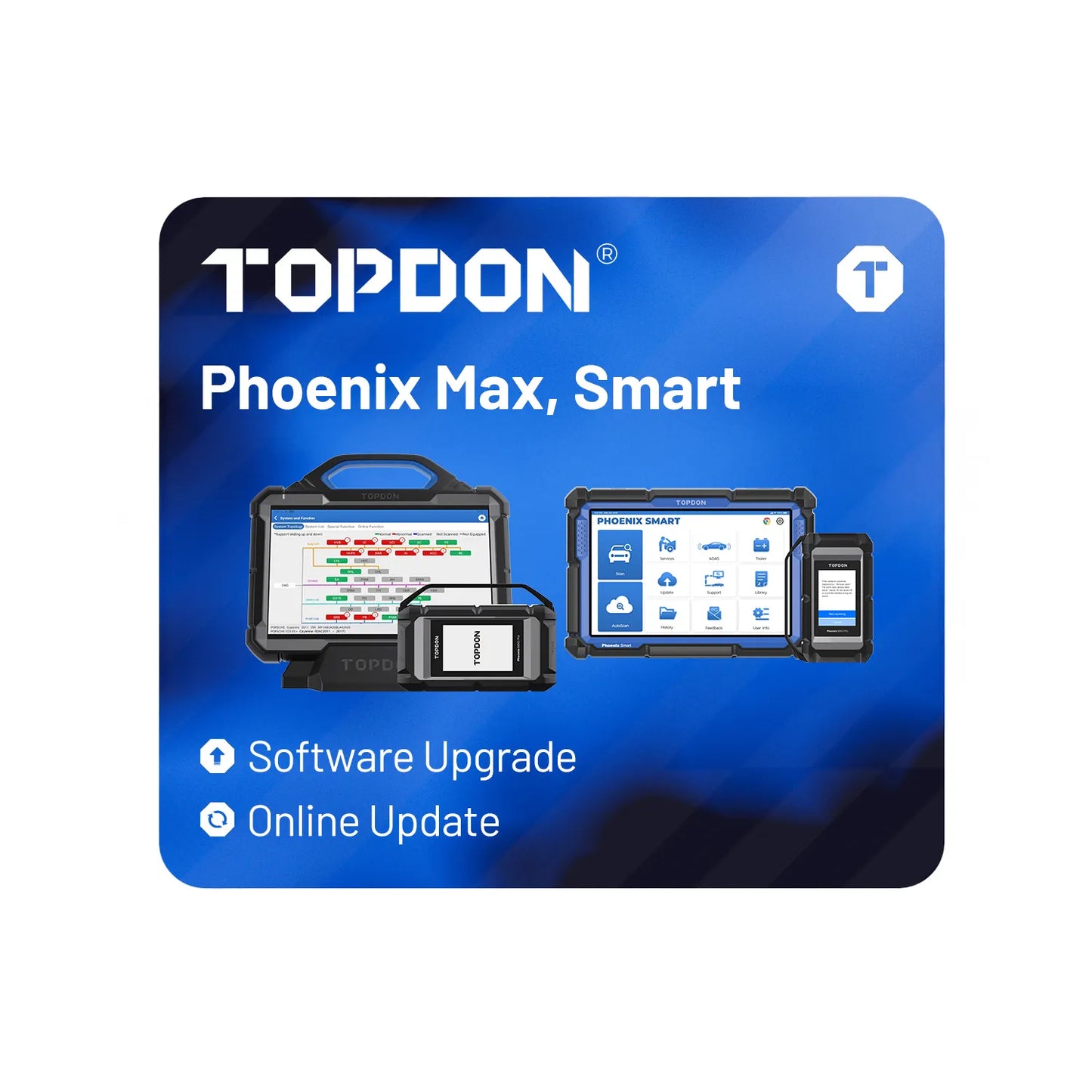 Phoenix Smart/Max Passenger Car Online Update - One Year